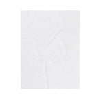 Citrus Grove Slice Personalized Throw Blanket