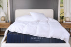 Down Duvet Insert