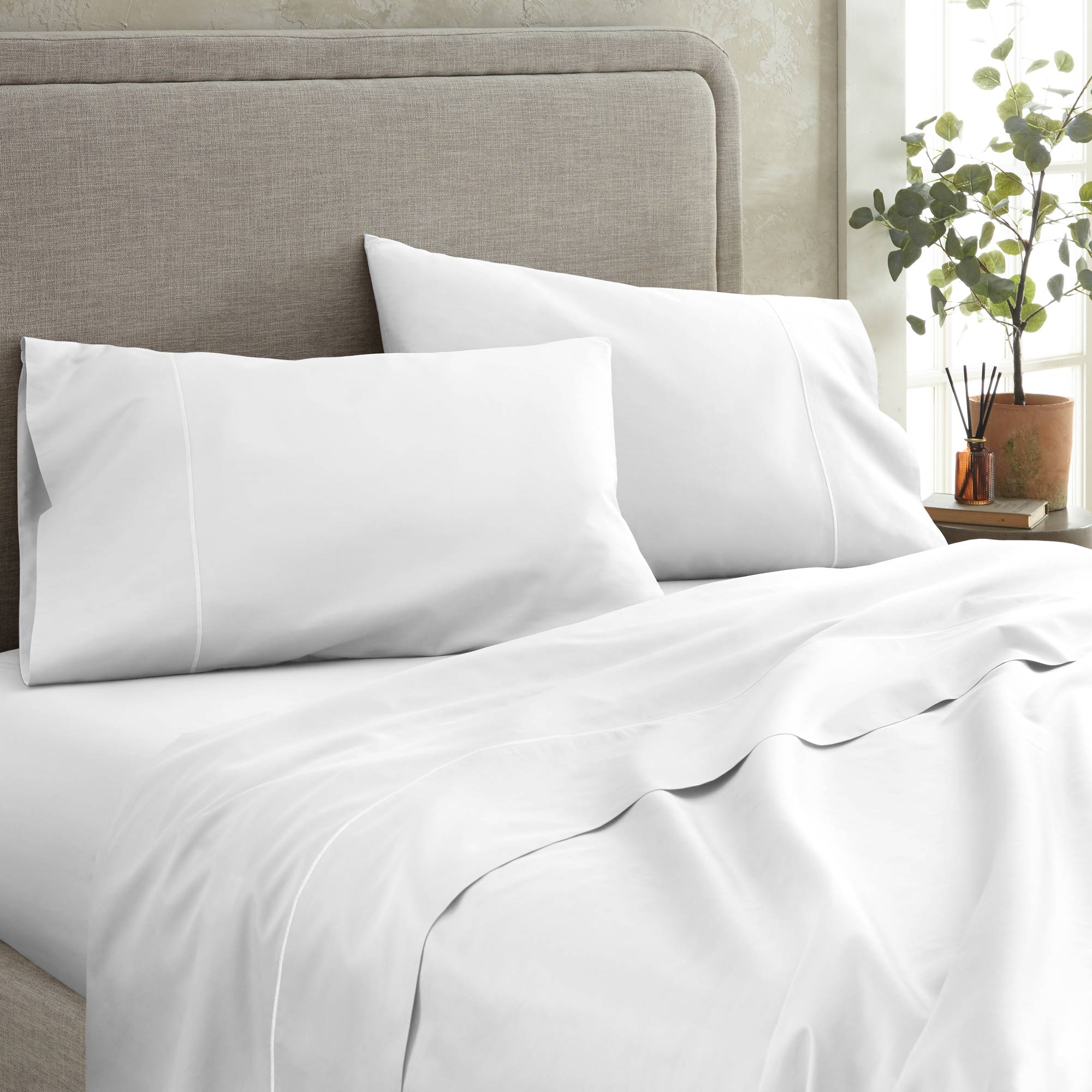 300 TC Sateen Fitted Sheet - Solid Colors